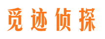 天山市侦探